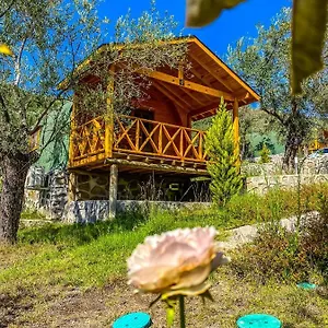 buradan rezervasyon yapın